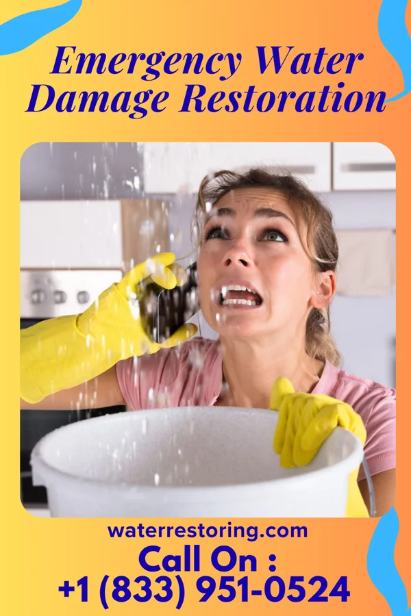 Emergency Water Damage Restoration in Ravenna, MI