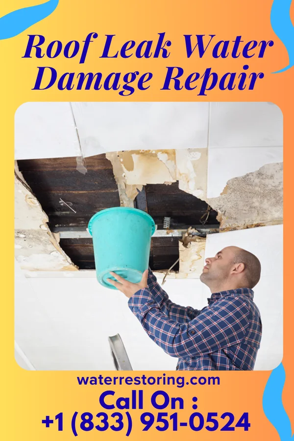 Roof Leak Water Damage Repair in Ravenna, MI