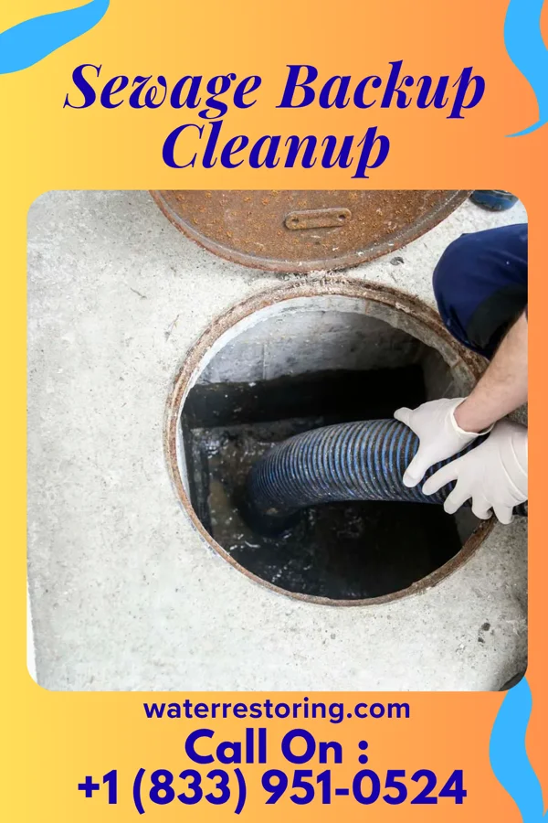 Sewage Backup Cleanup in Ravenna, MI