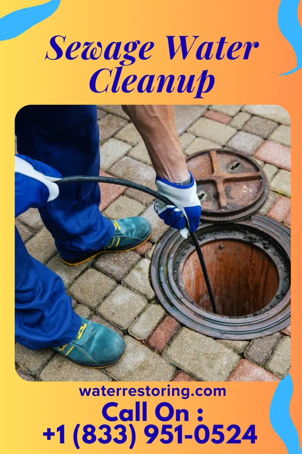 Sewage Water Cleanup in Ravenna, MI