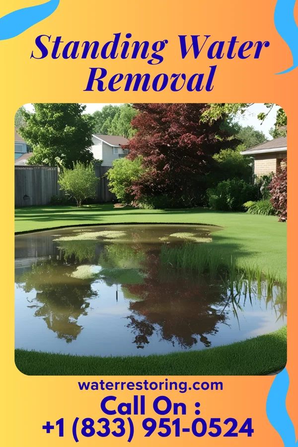 Standing Water Removal in Ravenna, MI